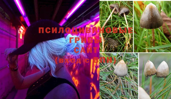 скорость Алзамай