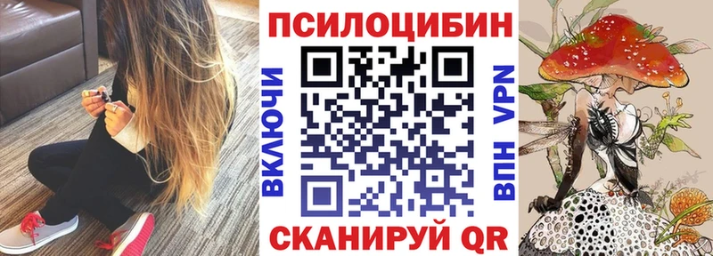 купить наркотики сайты  Палласовка  Псилоцибиновые грибы мухоморы 